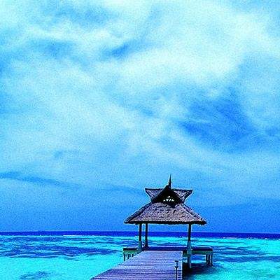 365在线app下载截图